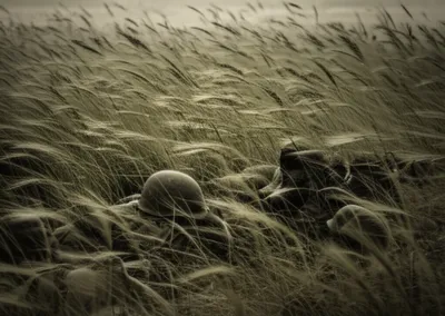 Illustration sedge - Image 1