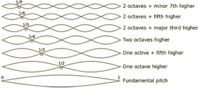 Illustration fundamental - Image 2