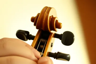 Illustration attune - Image 1