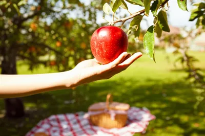 Illustration favorable - Image 1