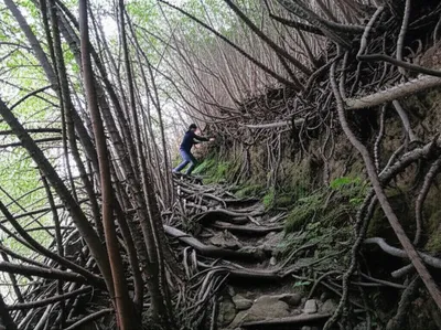 Illustration clog - Image 1