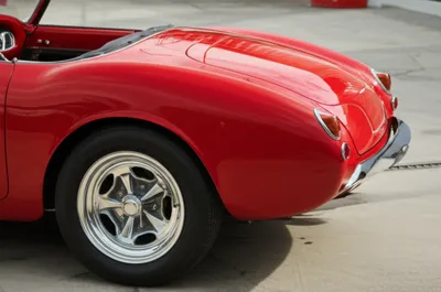 Illustration spat - Image 1