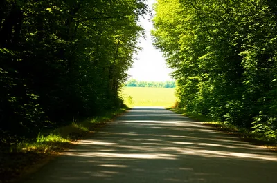 Illustration diverged - Image 1