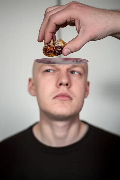 Illustration figged - Image 1