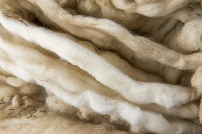 Illustration staples - Image 1