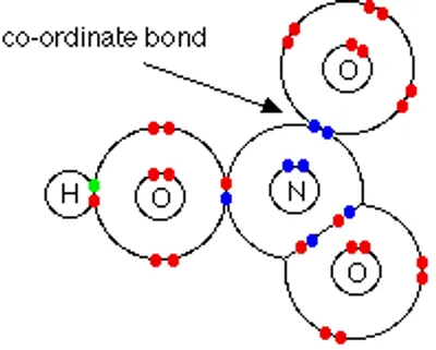 Illustration coordination - Image 2