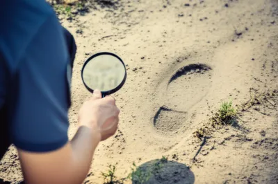 Illustration made - Image 1