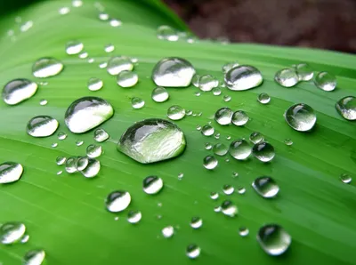 Illustration wetted - Image 1