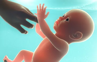 Illustration decanting - Image 1