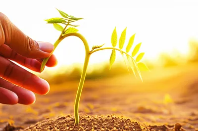 Illustration upright - Image 1