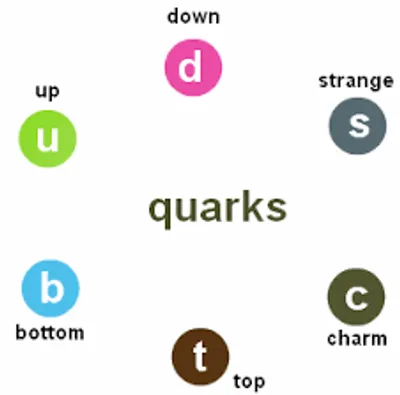 Illustration bottom - Image 3