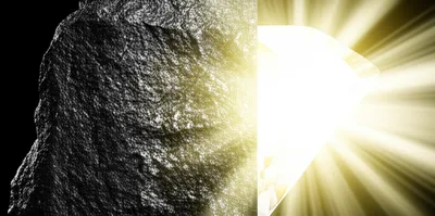 Illustration fines - Image 1