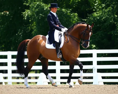 Illustration managing - Image 1