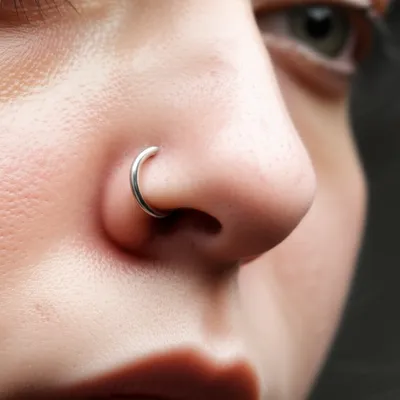 Illustration septa - Image 1