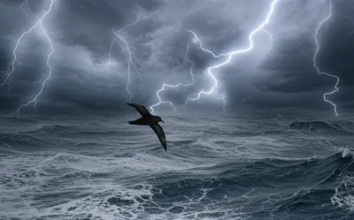 Illustration witches - Image 1