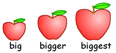 Illustration compare - Image 2