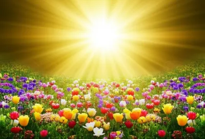 Illustration emanated