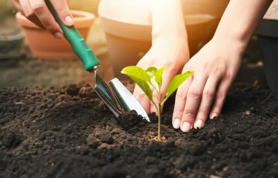 Illustration acting - Image 1