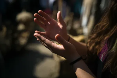 Illustration palms - Image 1