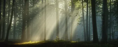 Illustration shafts - Image 1