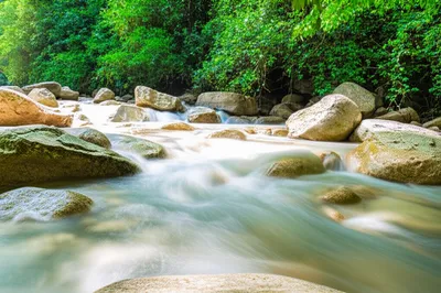 Illustration purifies