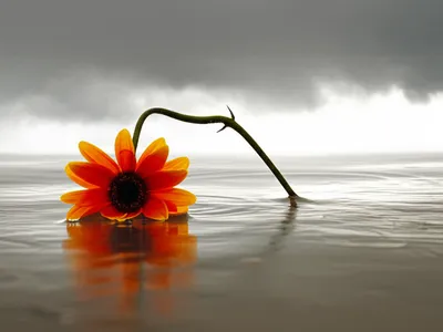 Illustration dismaying - Image 1