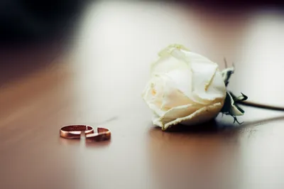 Illustration disbanding - Image 1