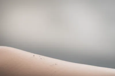 Illustration creeps - Image 1