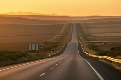 Illustration toby - Image 1