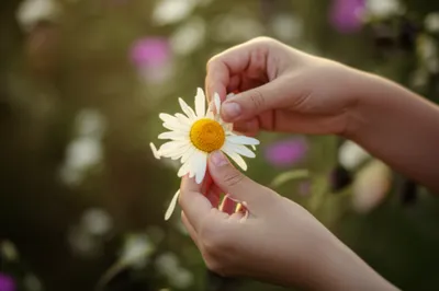 Illustration picks - Image 1