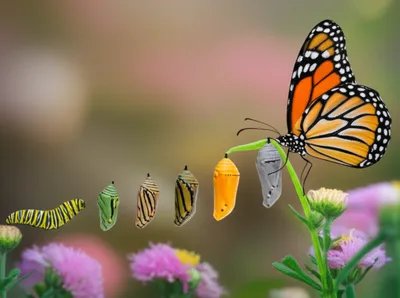 Illustration gen - Image 1