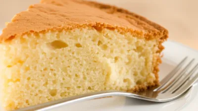 Illustration sponge - Image 1