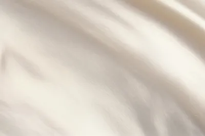 Illustration oyster - Image 1