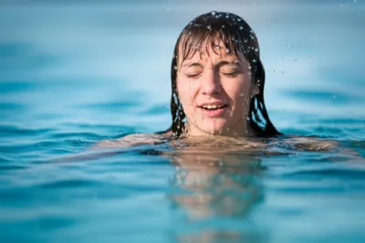 Illustration ducked - Image 1