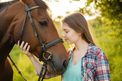 Illustration whisperer - Image 1