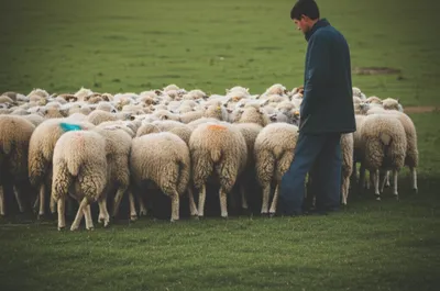 Illustration nearest - Image 1