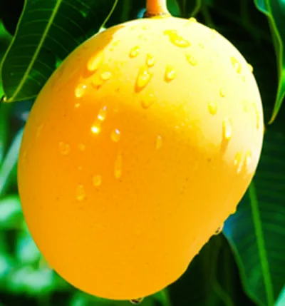 Illustration digested - Image 1