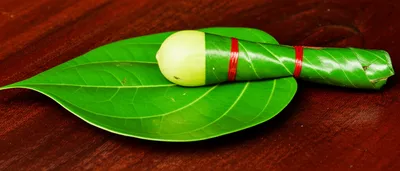 Illustration betel - Image 1