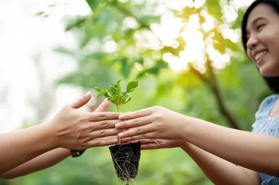 Illustration benevolence - Image 1