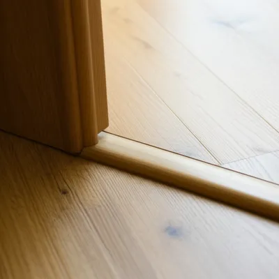 Illustration saddle - Image 1