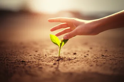 Illustration mercifully