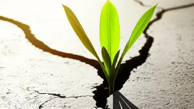 Illustration motivational