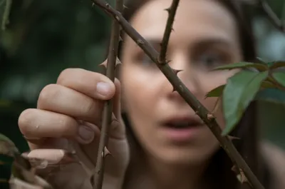 Illustration prickle - Image 1