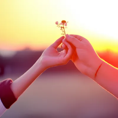 Illustration forgiving - Image 1