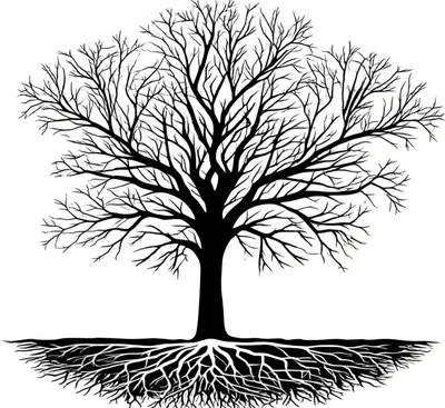 Illustration base - Image 1