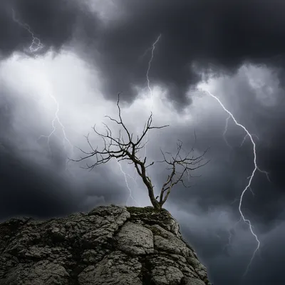 Illustration adversity