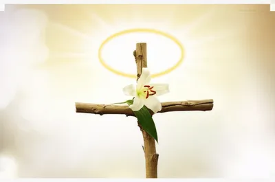 Illustration saints - Image 1