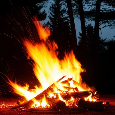 Illustration blazes - Image 1