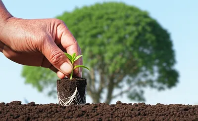 Illustration faith - Image 1