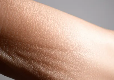 Illustration plicas - Image 2